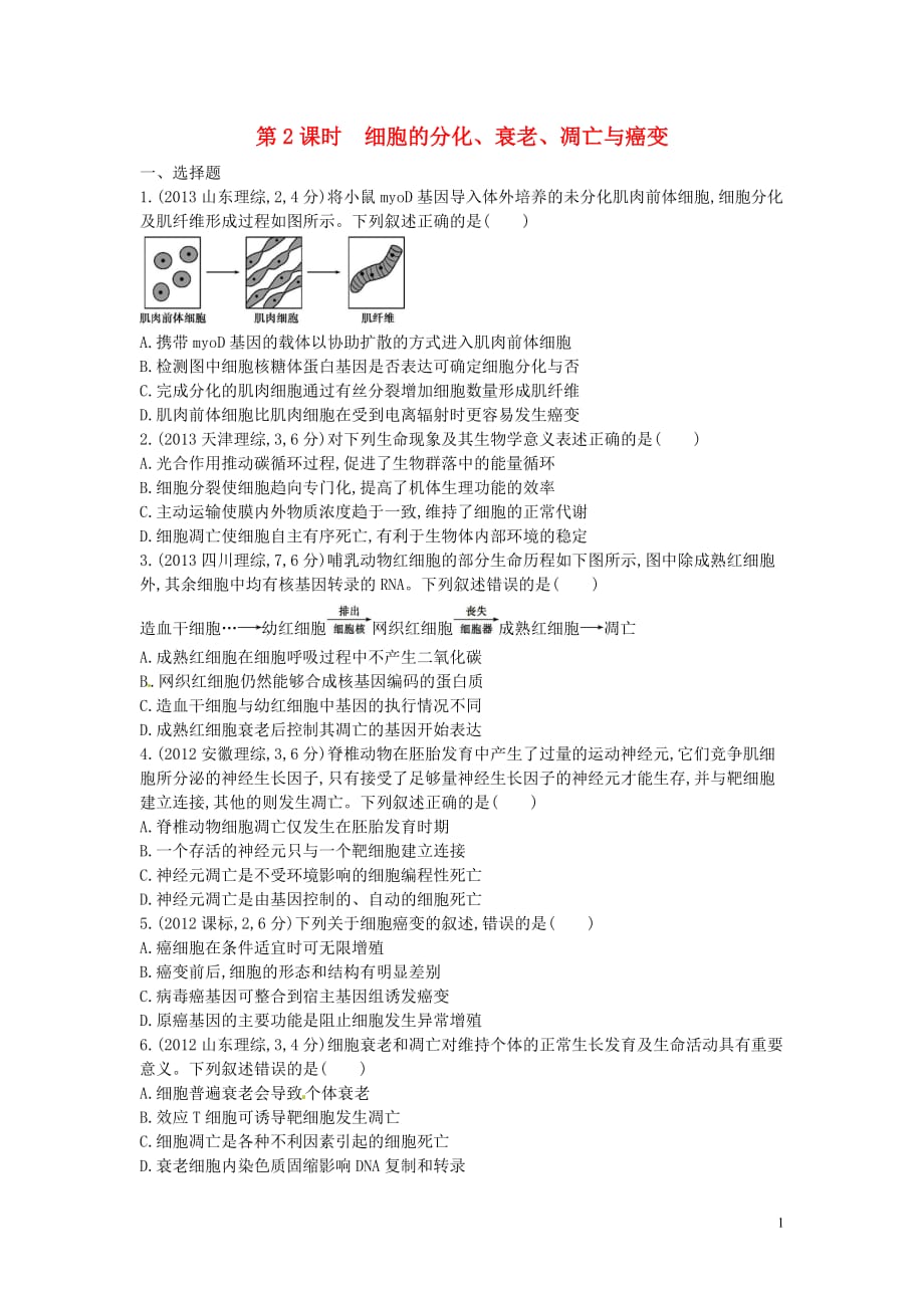 高三生物 复习精品课件及资料【三年高考两年模拟】2015版高考生物总复习 第五单元 第2课时 细胞的分化、衰老、凋亡与癌变练习_第1页