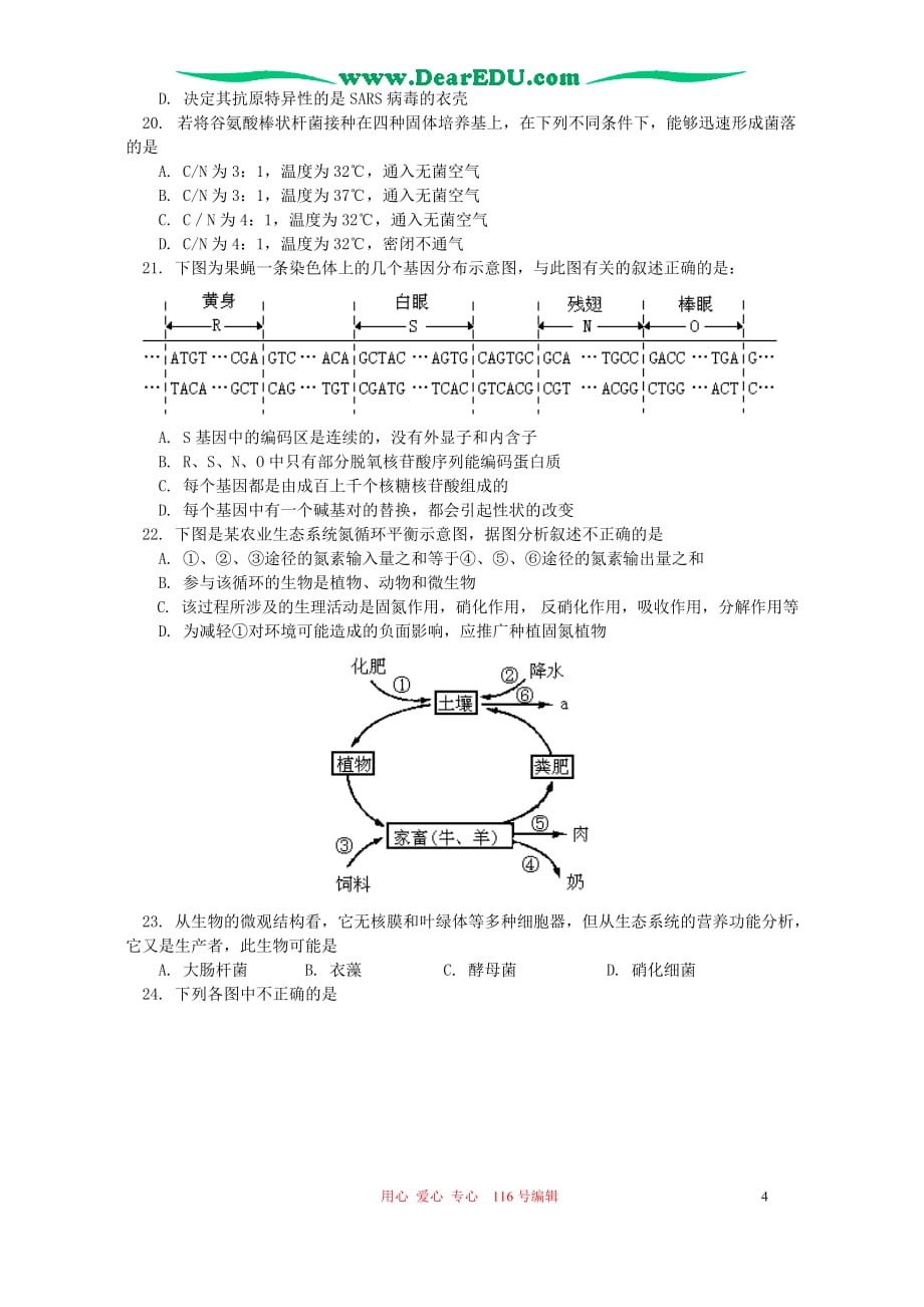 高三生物 复习精品课件及资料2005-2006年上学期河南省新乡市高三生物第二次调研测试卷 人教版_第4页