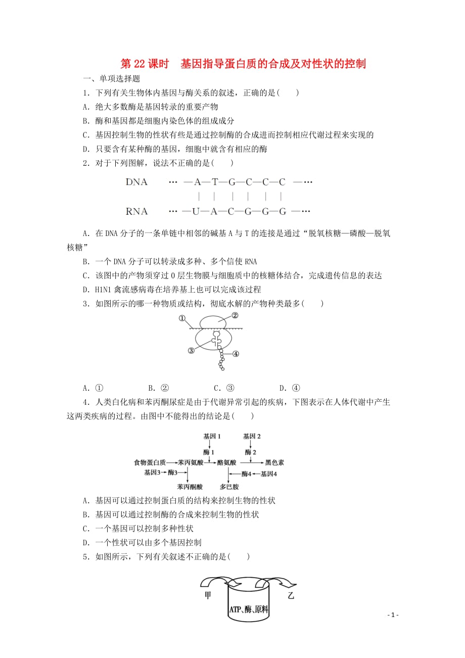 《高三生物一轮复习 第六单元 遗传的物质基础 第6单元第22课时精品练习》_第1页