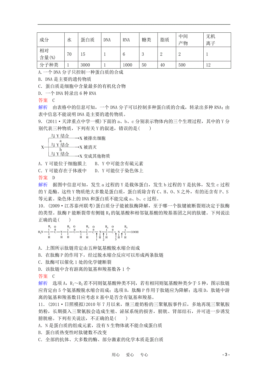 《高三生物一轮复习 蛋白质和核酸同步辅导课后作业 大纲人教版》_第3页