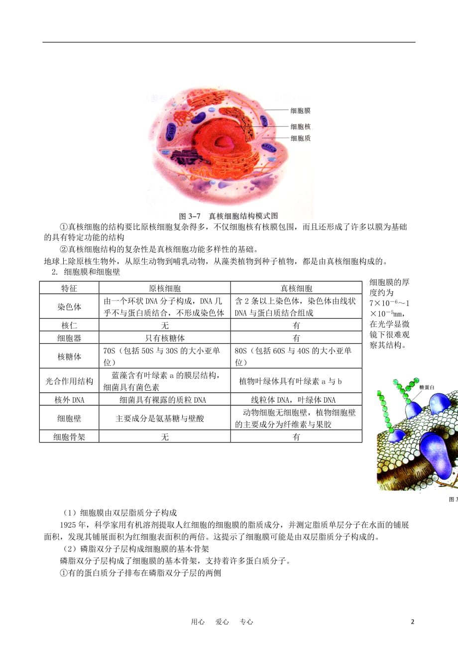 《－学年高中生物 第三章 第二节 细胞的类型和结构（一）同步练习 苏教版必修1》_第2页