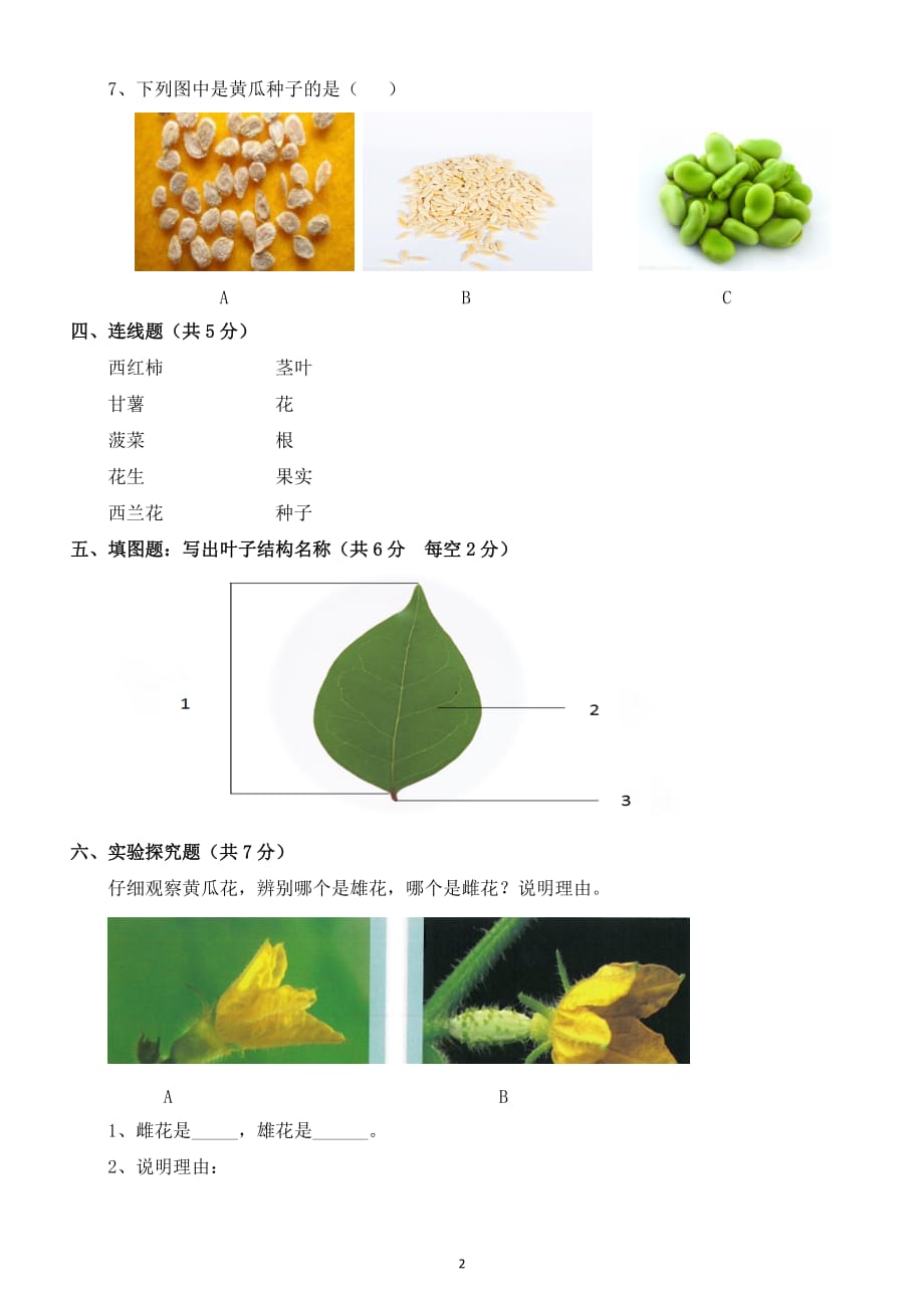 小学科学苏教版三年级下册第一单元《植物的一生》检测题（附答案）_第2页