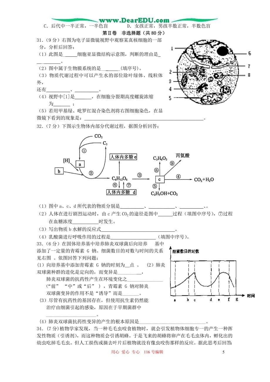 高三生物 复习精品课件及资料2006-2007学年第一学期高三生物四校联考试卷 新课标 人教版_第5页