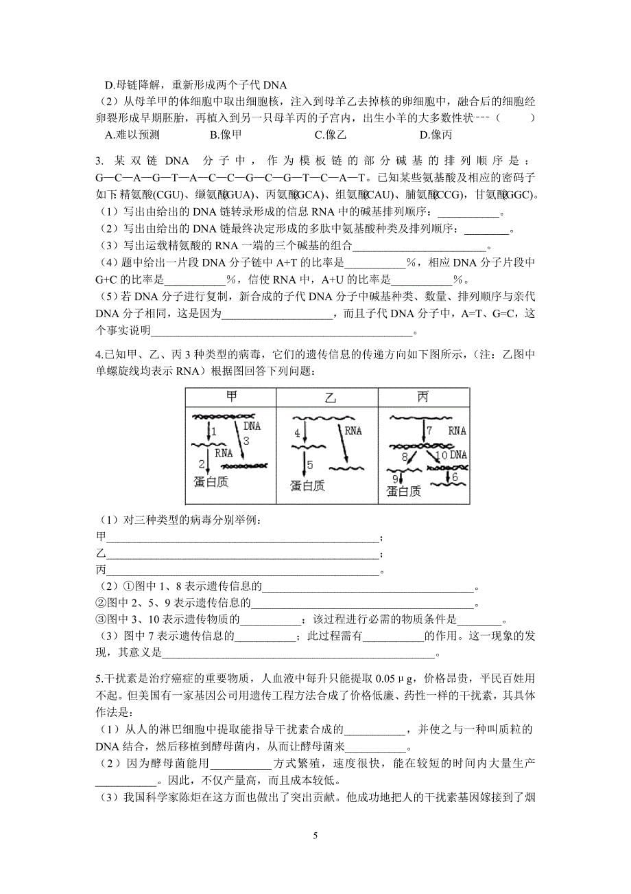 高三生物 复习精品课件及资料15基因的表达1_第5页