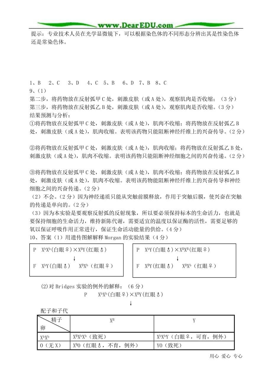 高三生物 复习精品课件及资料2007年山东省新泰四中理综模拟生物单科卷六 新人教版_第5页