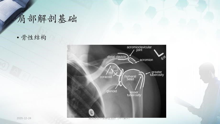 肩周炎的中医辨证治疗（PPT课件）_第5页