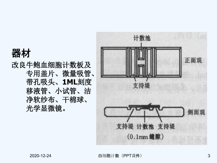 白细胞计数（PPT课件）_第3页