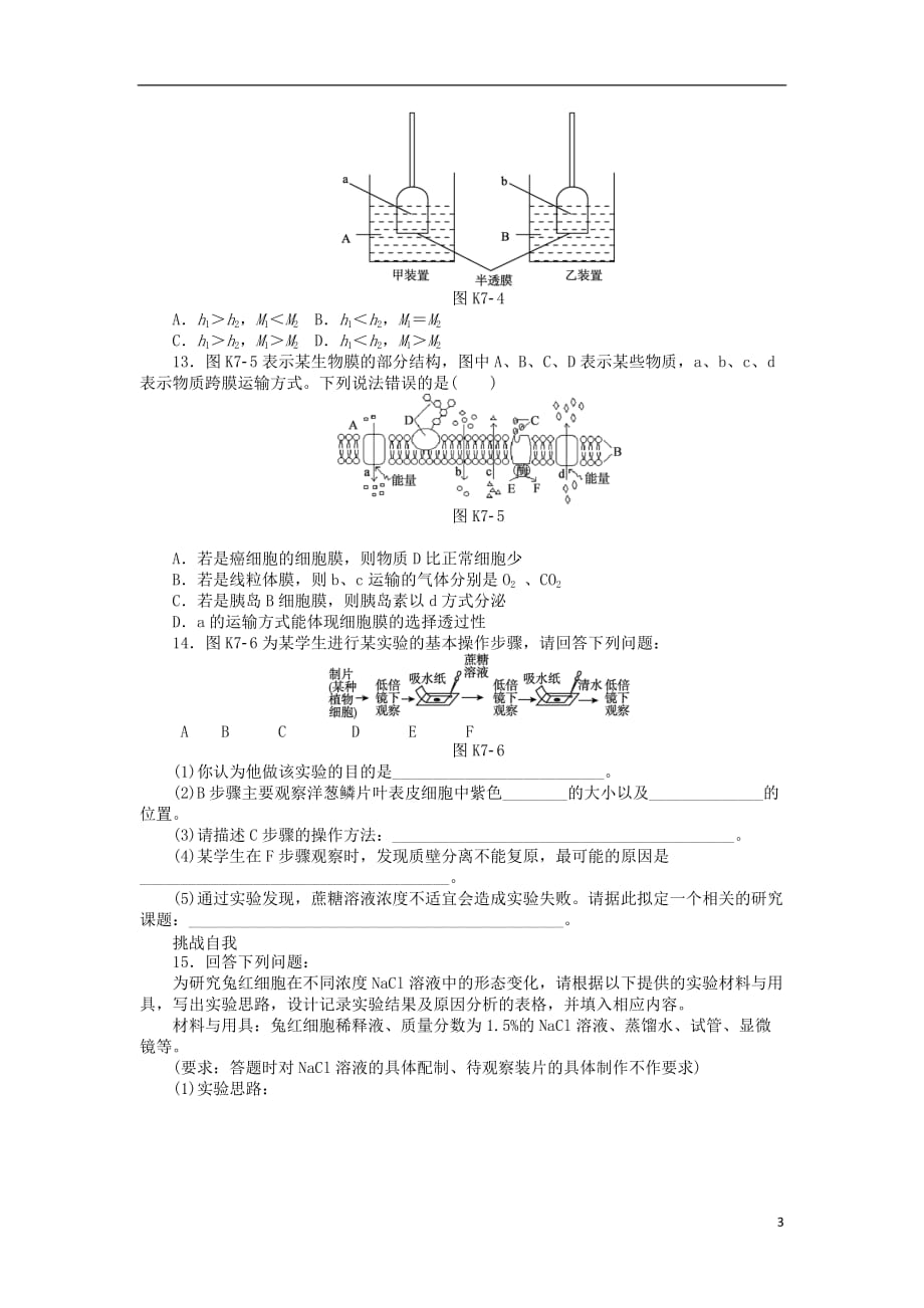 《高三生物 复习精品课件及资料2013届高三生物一轮复习课时作业 （7）第7讲 细胞的物质输入和输出 新人教版》_第3页