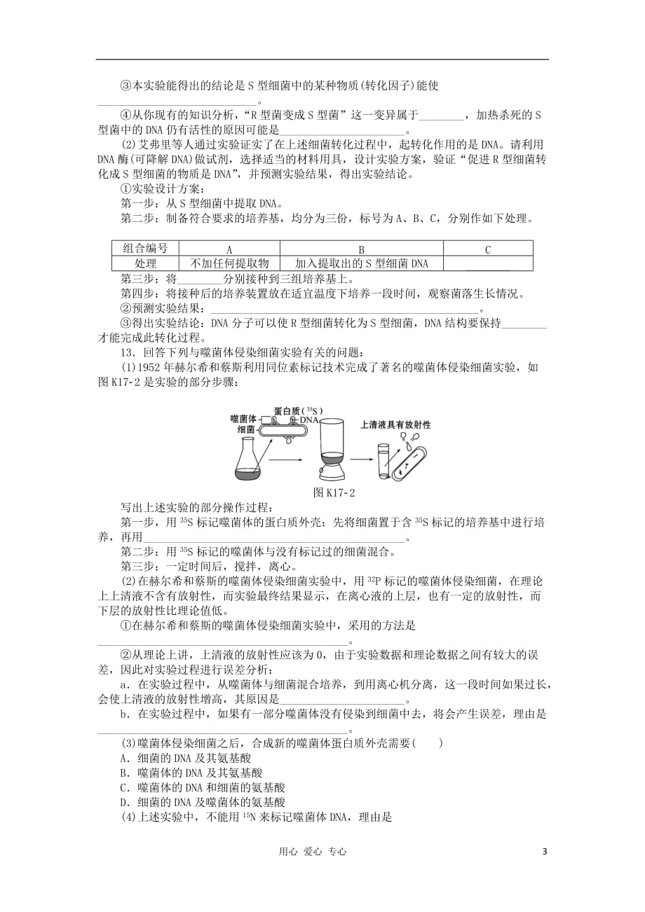 《高三生物 复习精品课件及资料2013届高三生物一轮复习课时作业17 DNA是主要的遗传物质 浙科版》_第3页