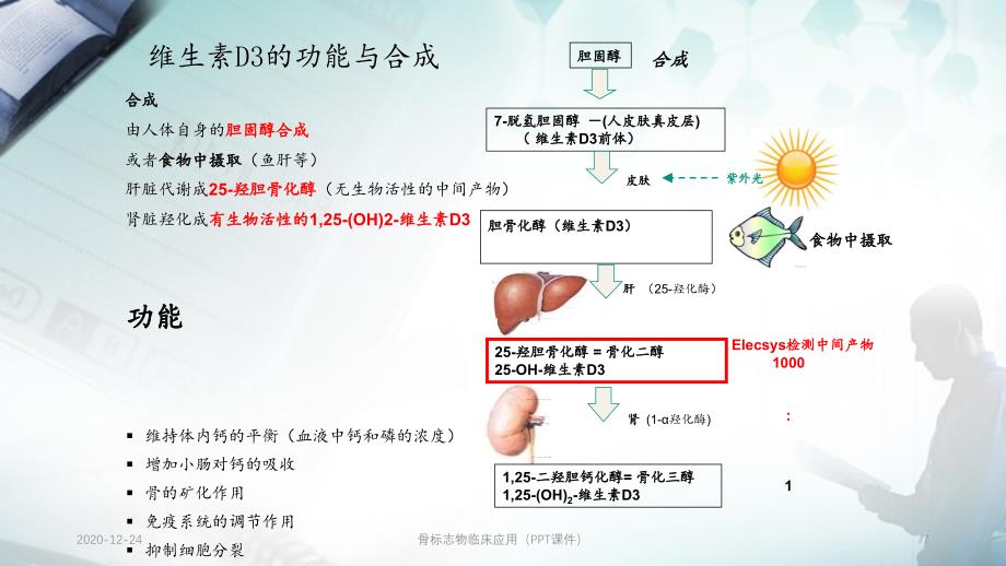 骨标志物临床应用（PPT课件）_第4页