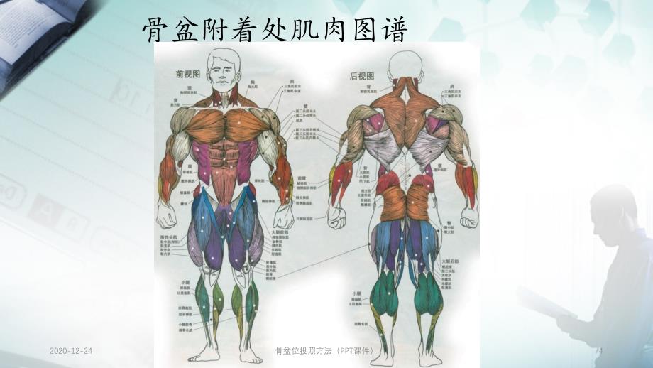 骨盆位投照方法（PPT课件）_第4页