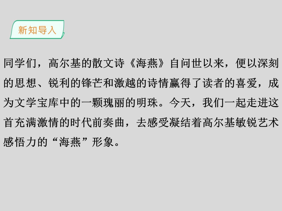 《海燕》九年级下册演示课件—人教部编版_第3页