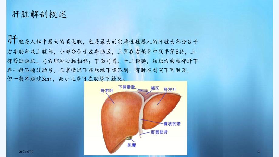 肝癌病人护理查房（PPT课件）_第3页