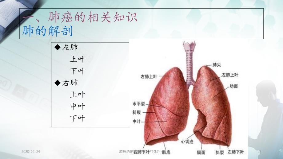 肺癌的护理查房（PPT课件）_第3页