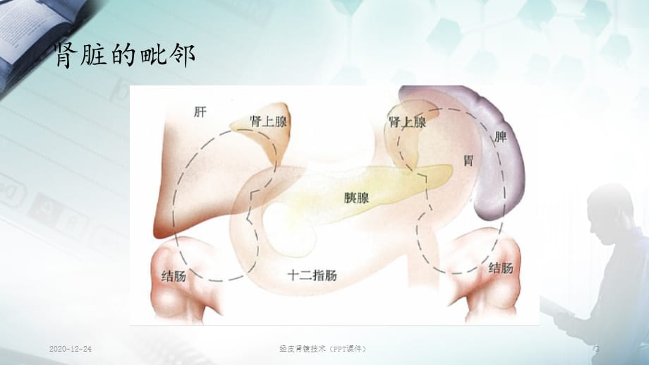 经皮肾镜技术（PPT课件）_第3页