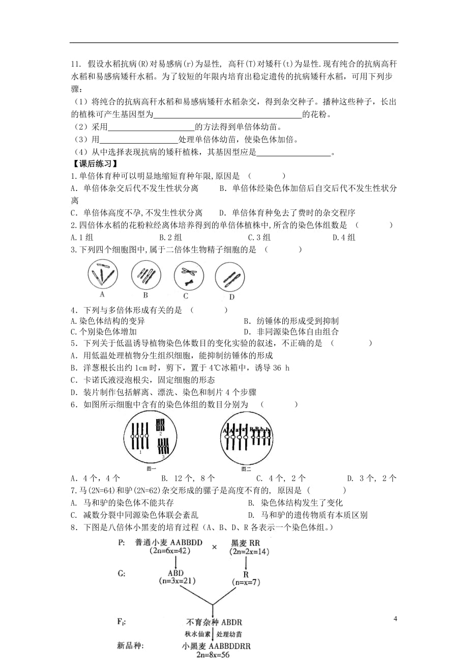 《高三生物 复习精品课件及资料高中生物《染色体变异》学案2 新人教版必修2》_第4页