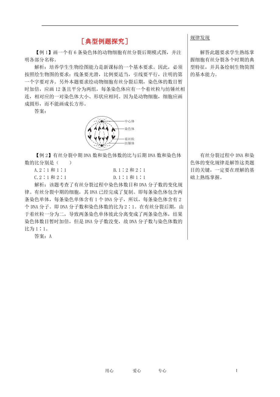 《高三生物 复习精品课件及资料高中生物 典型例题探究 细胞增殖素材 苏教版必修1》_第1页