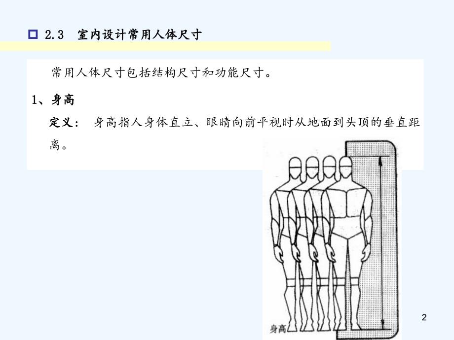 人体常用尺寸（实用干货）_第2页