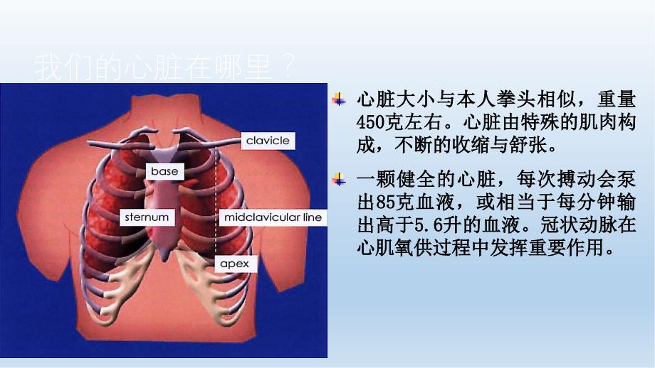 冠心病健康教育（实用课件）_第4页