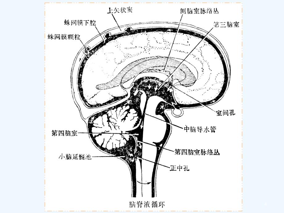 脑脊液检查与分析（干货）_第4页