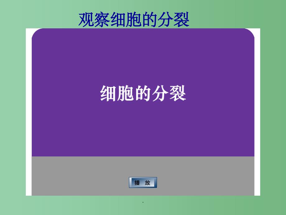 七年级生物下册 4.8.2细胞的分裂与分化 苏科版_第2页