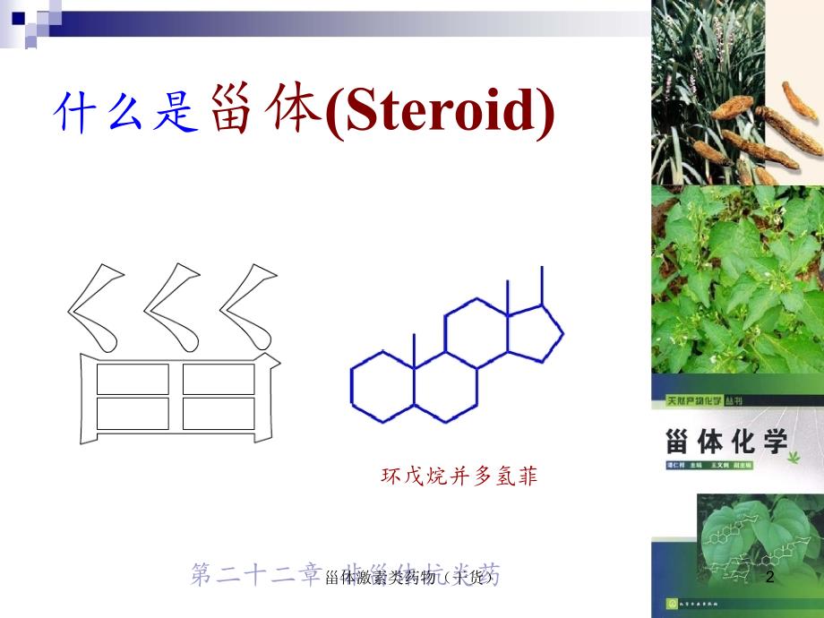 甾体激素类药物（干货）_第2页