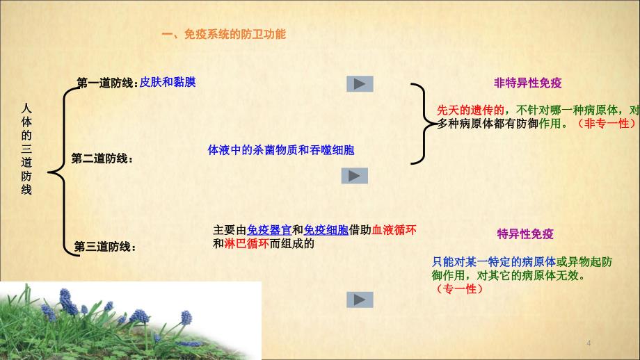 人教教学必修3稳态与环境免疫调（实用课件）_第4页