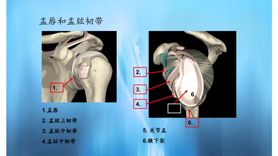 肩关镜下肩袖修补_第3页