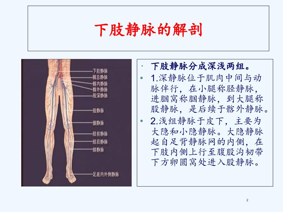 下肢深静脉血栓的护理（实用干货）_第2页