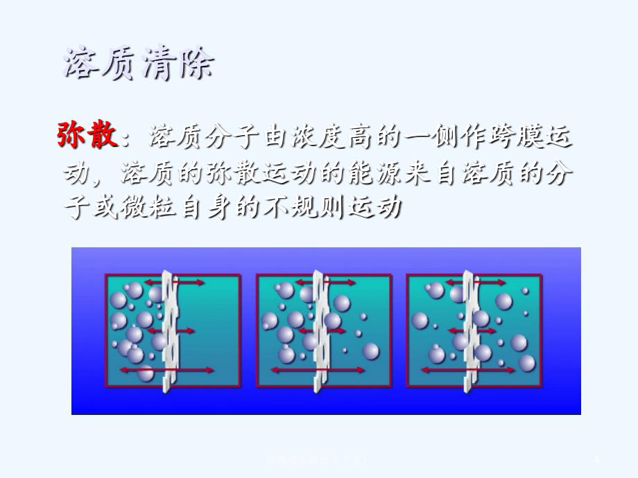 血液透析滤过（干货）_第4页