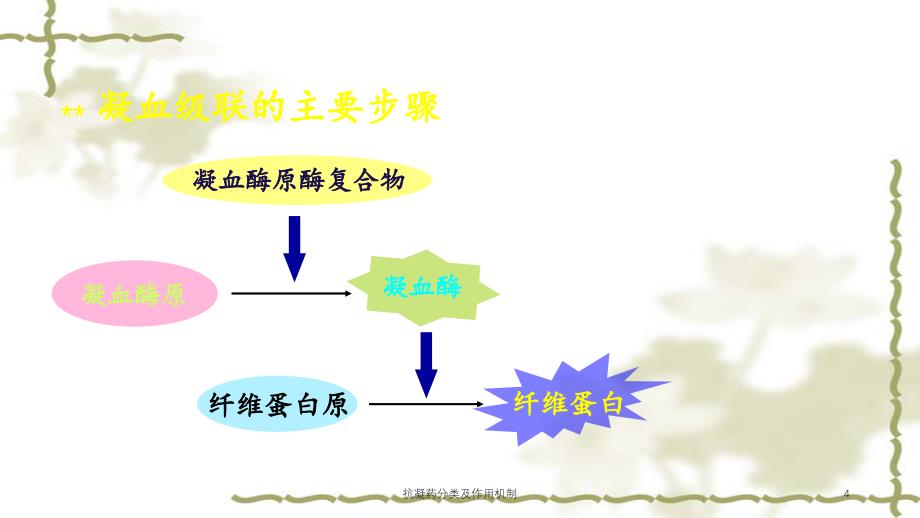 抗凝药分类及作用机制（实用课件）_第4页