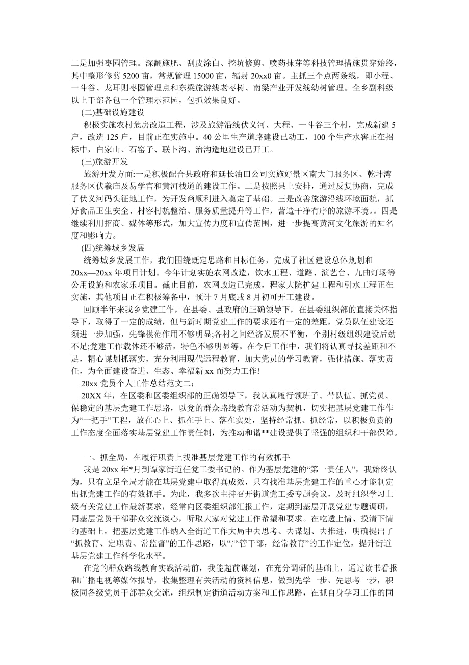 《202X党员个人工作总结》_第3页