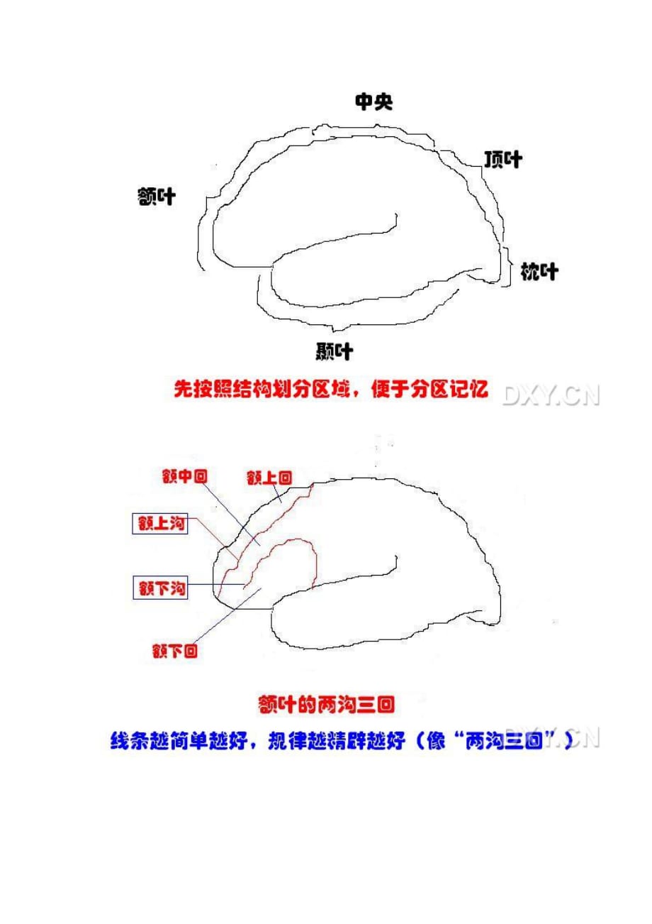 神经内科知识巧妙记忆法汇总(经典就是这么具体)_第2页