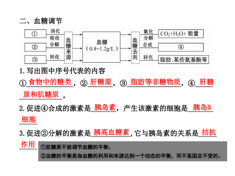 通过激素的调节&amp#183;神经调节与体液调节的关系_第3页