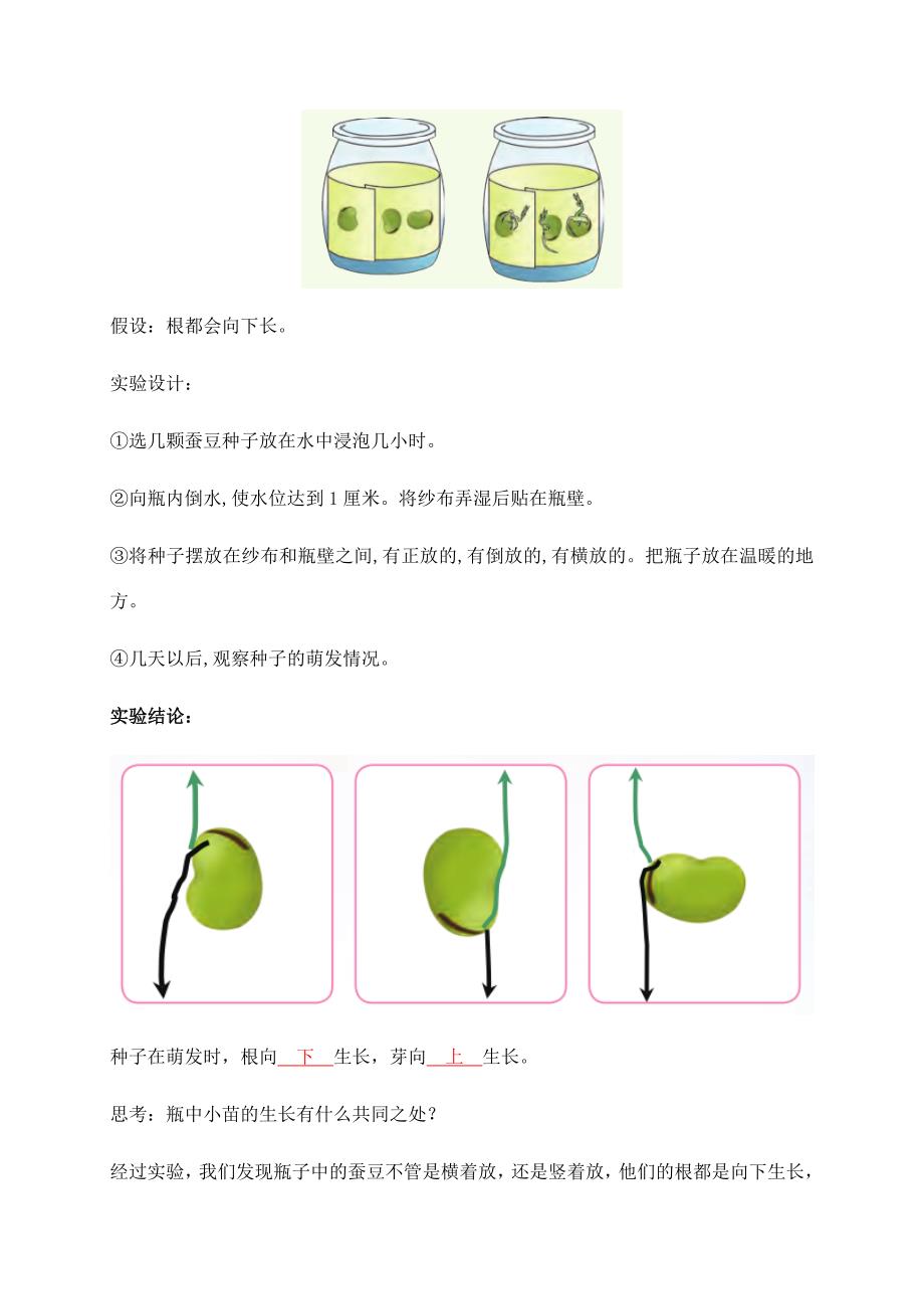 2021新苏教版科学四年级下册第四单元《繁殖》必背知识点_第2页