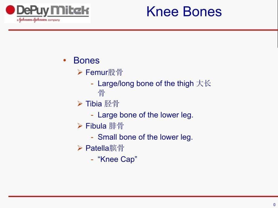 膝关节解剖介绍_第5页