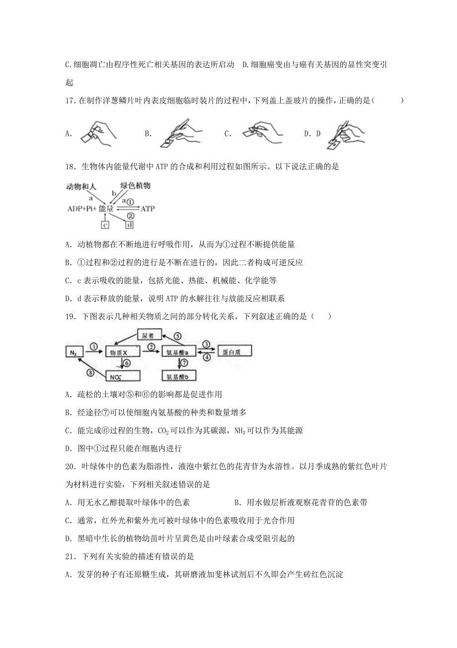 江西省横峰中学2019-2020学年高一生物下学期第二次月考试题统招班【附答案】_第5页