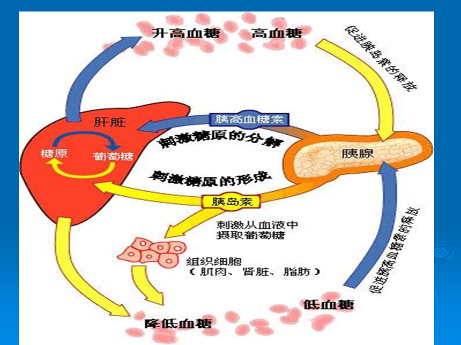 新生儿低血糖处理方法、不良反应_第2页