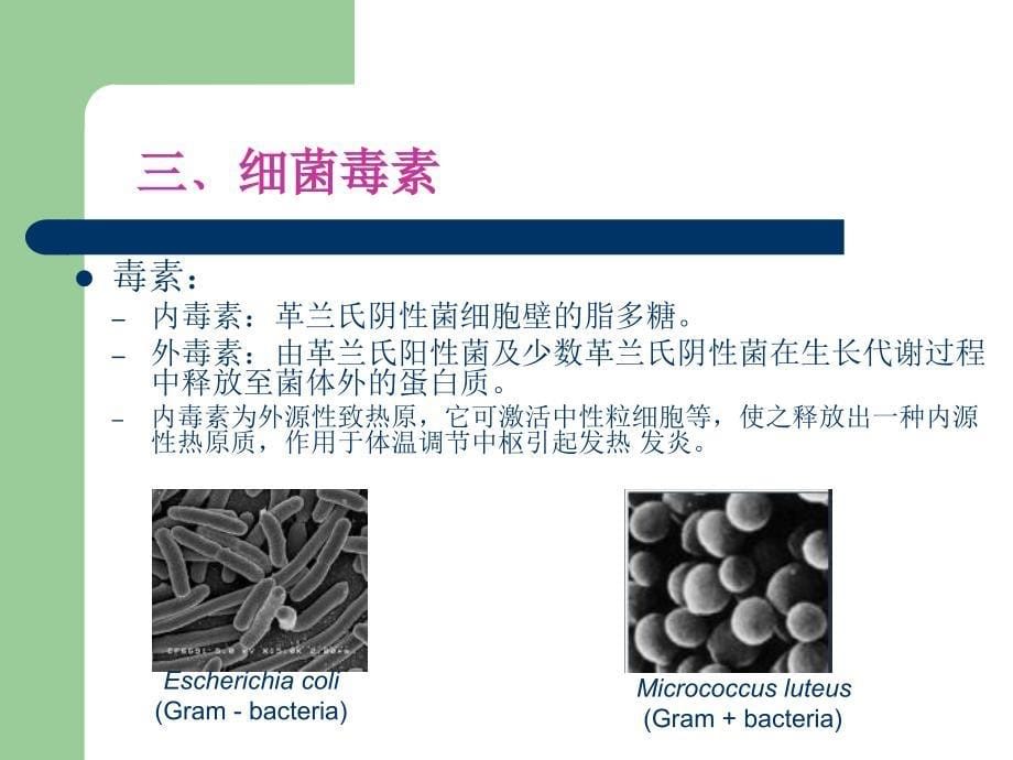 微生物毒素知识_第5页