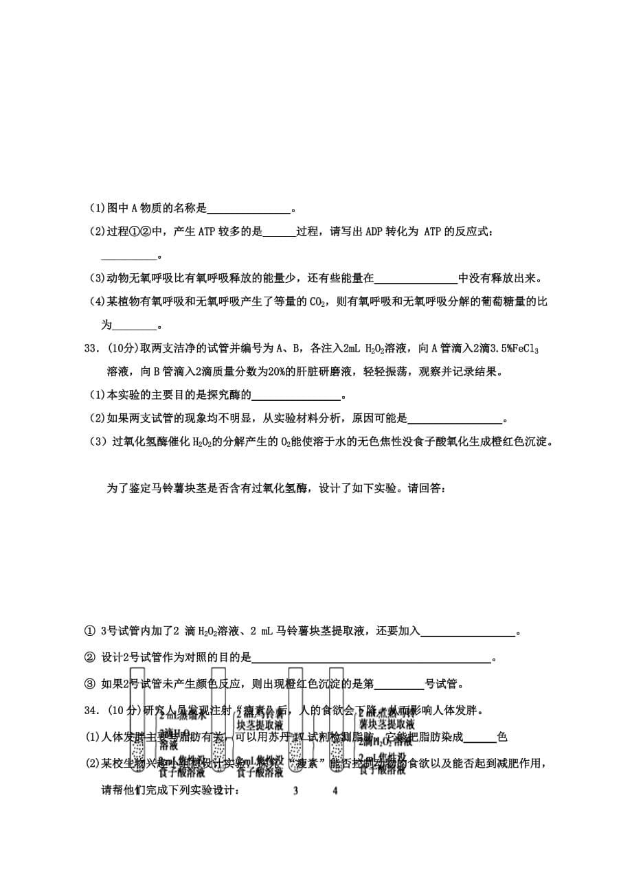 海南省嘉积中学11-12学年高一上学期教学质量监测(三)生物试题_第5页