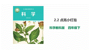 教科版科学四年级下册2.2《点亮小灯泡》精品课件（2套）