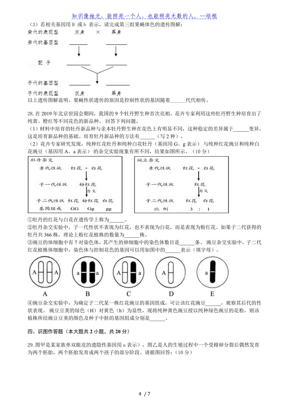 苏科版八年级生物下册第七单元第二十二章《生物的遗传与变异》测试卷（含答案）_第4页