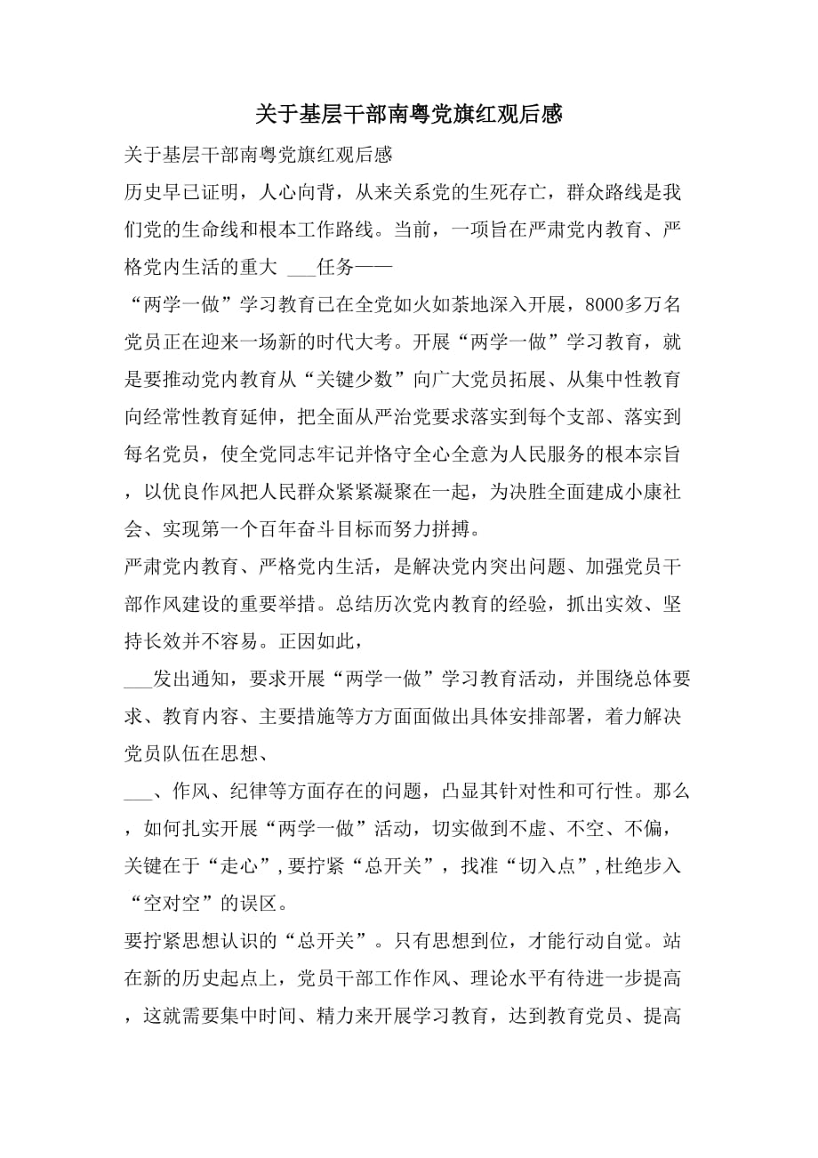 2021年关于基层干部南粤党旗红观后感_第1页