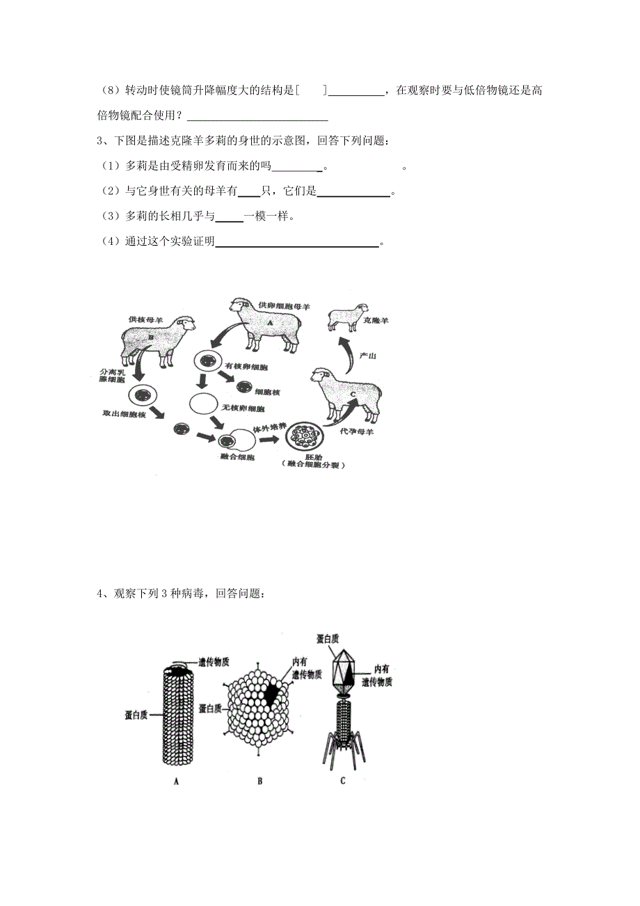 2011年中考生物结业识图题专题复习_第2页