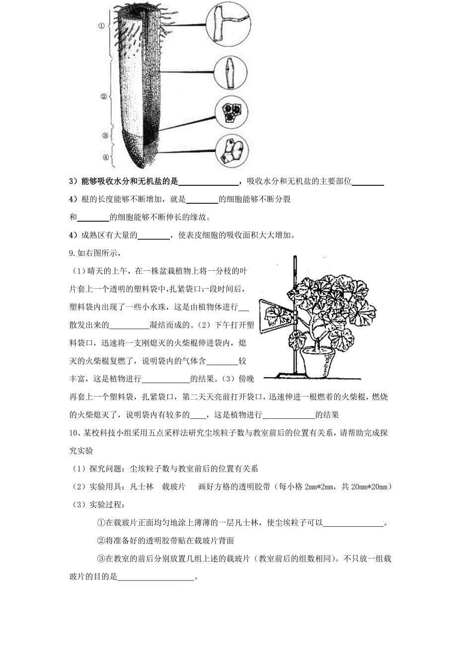 2011年中考生物结业识图题专题复习_第5页