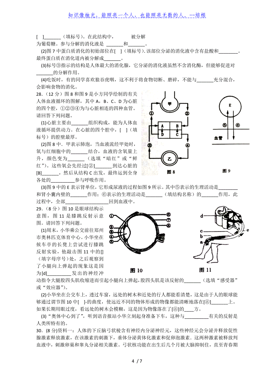 河南省郑州市2019-2020学年七年级下学期期末考试生物试题（精编word版含答案）_第4页