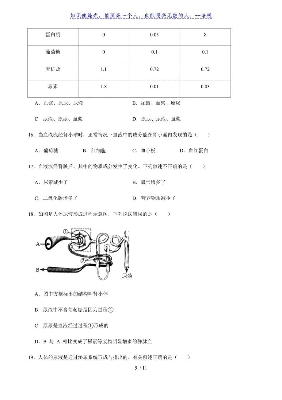 北师大版生物七年级下册第4单元第11章 人体代谢废物的排出 同步训练题（含答案）_第5页