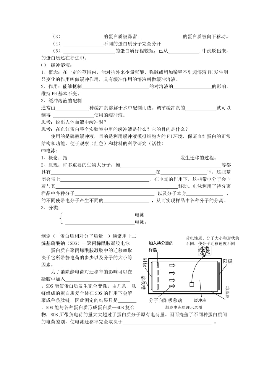 血红蛋白的提取与分离导学案_第2页