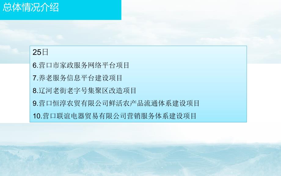 [精选]现代服务业综合试点项目验收情况汇报_第4页