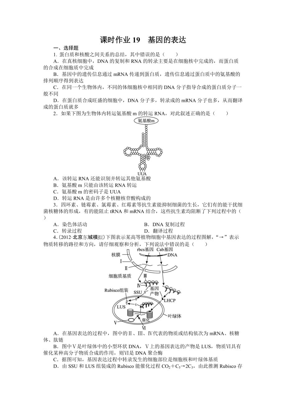 2014届高考生物(人教版)一轮复习题库：必修2第4章基因的表达(含解析)_第1页